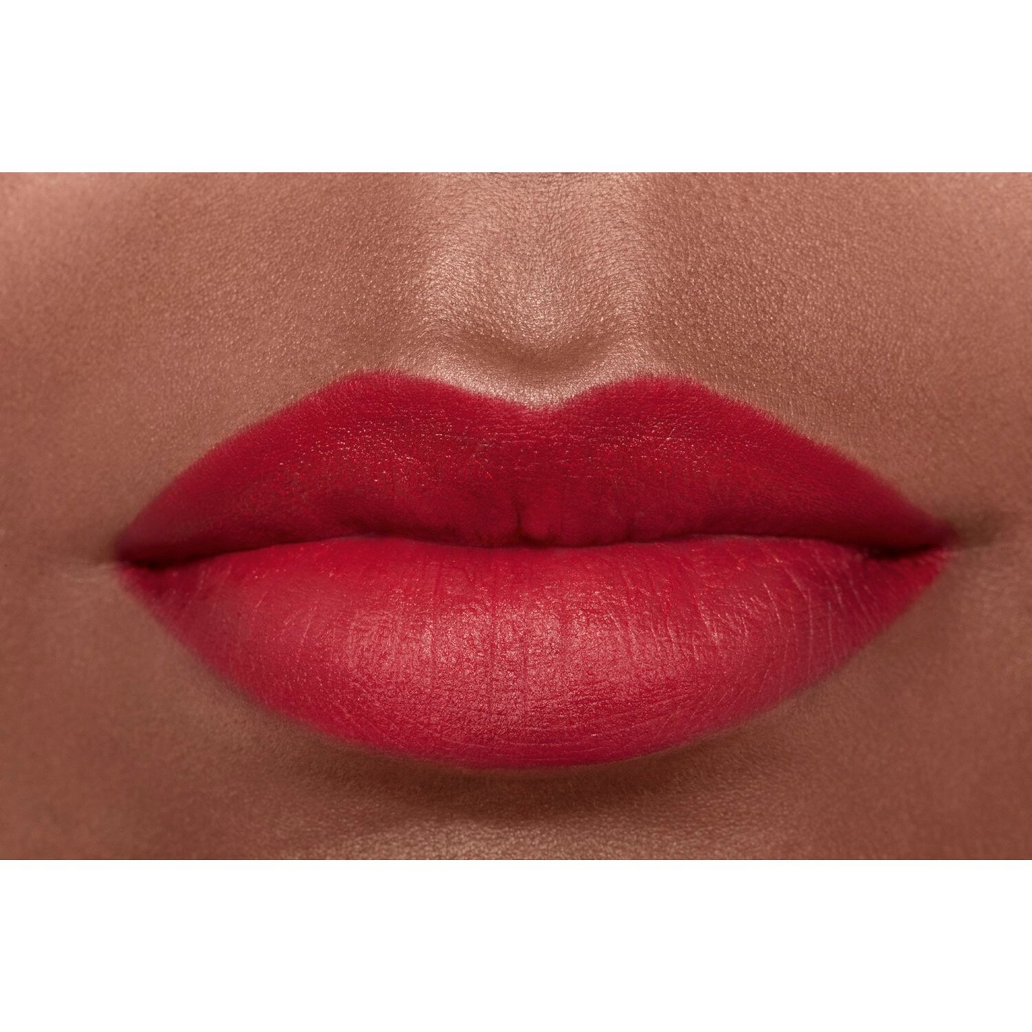 LA BARRA DE LABIOS ATERCIOPELADA LUMINOSA